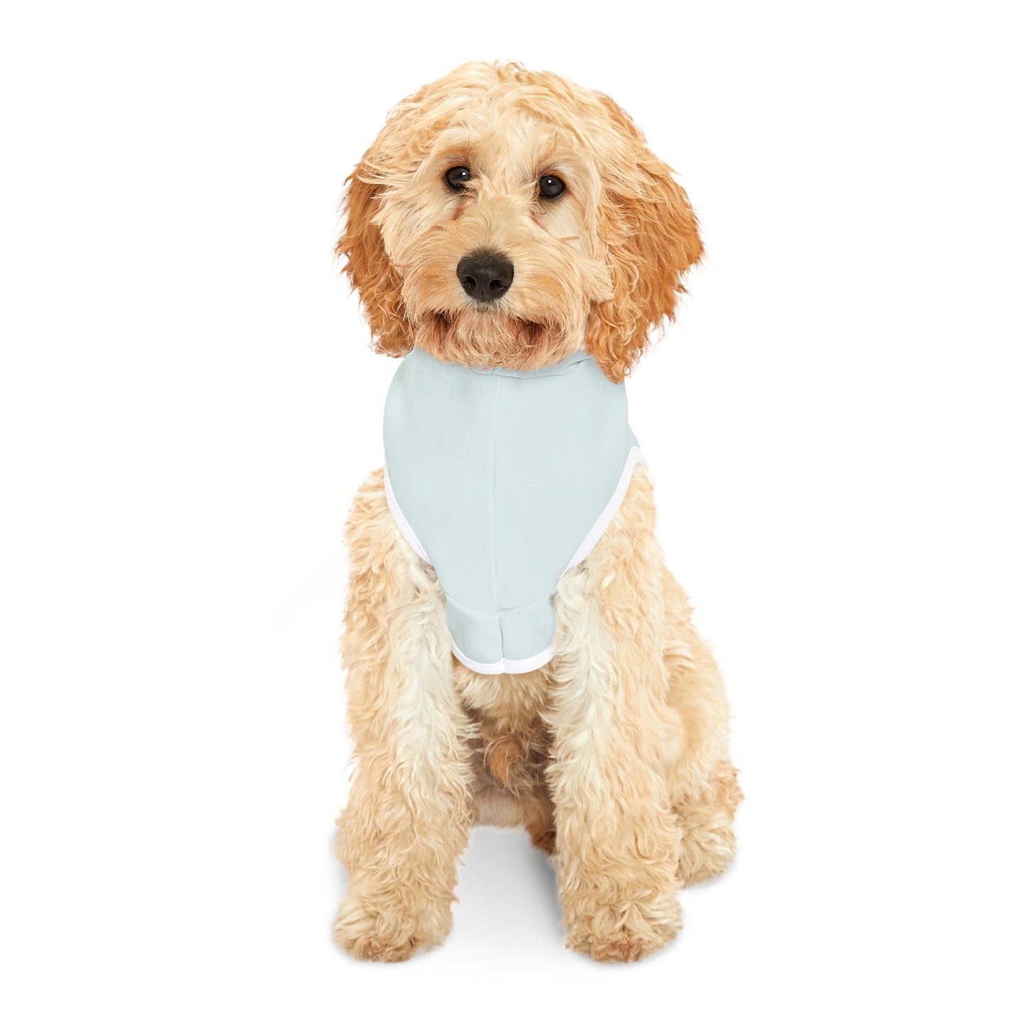 Celebrate The Little Wins Dog Hoodie